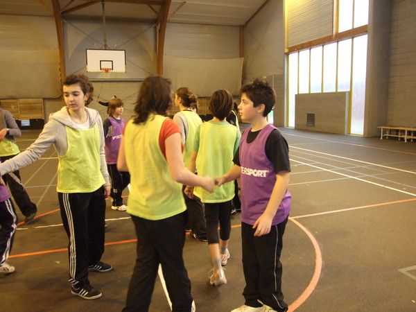suite ultimate